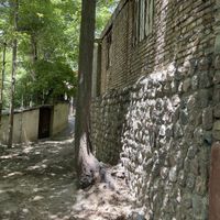 باغ با درختان چندین ساله در فشم واوشان